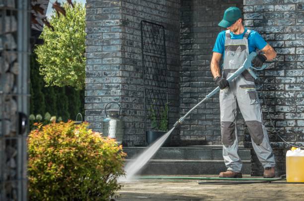 Best Graffiti Removal Services in Agua Dulce, TX